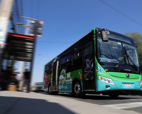 Galería: Tránsito y Transporte Público - Bus Flora Bus de la ruta Fauna pasando por un paradero establecido.