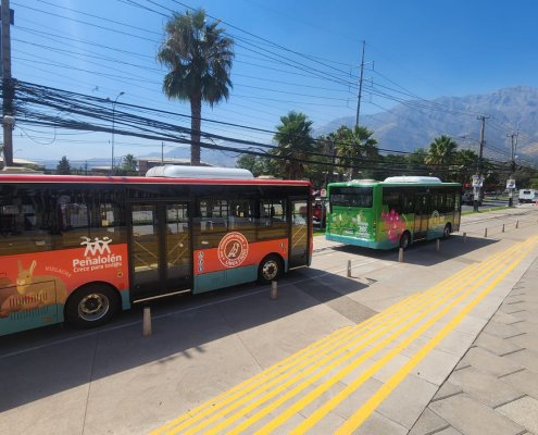 Galería: Tránsito y Transporte Público - Buses municipales Buses: Flora y Fauna, fuera del Municipio de Peñalolén.