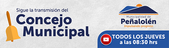 Concejo Municipal