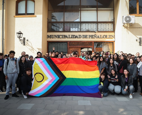 Pagina Web Diversidades 4